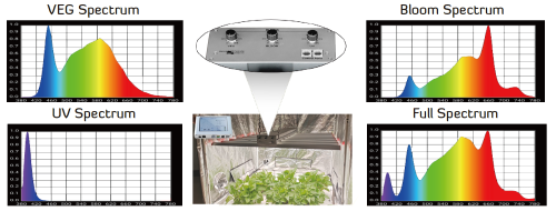 Good LED 700W Bloom+Grow+UV – lampa LED