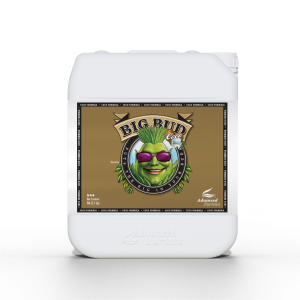 Nawóz Advanced Nutrients Big Bud Coco 5l