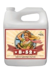 Nawóz Advanced Nutrients B-52  5L - mieszanka 6 witamin i aminokwasów