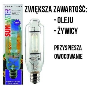 LAMPA / ŻARÓWKA , 600W, SUNMASTER - FINISHING DELUXE UV