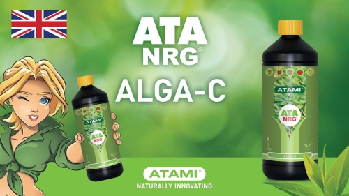 Nawóz Ata Organics Alga C 5L