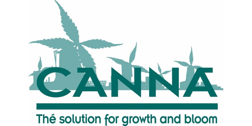 Canna